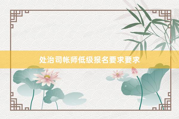 处治司帐师低级报名要求要求